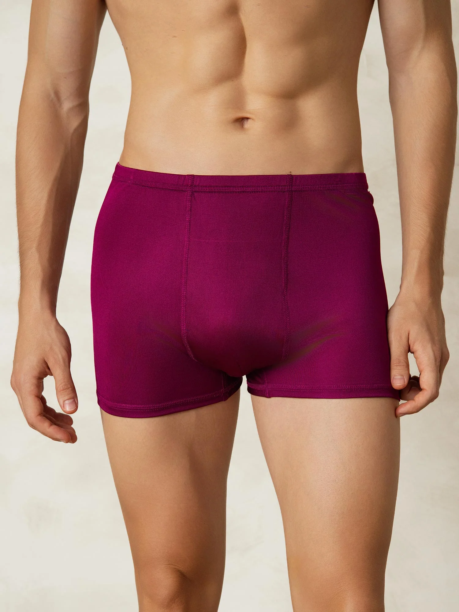 Pure Silk Herr Boxers Underwear - Image 20