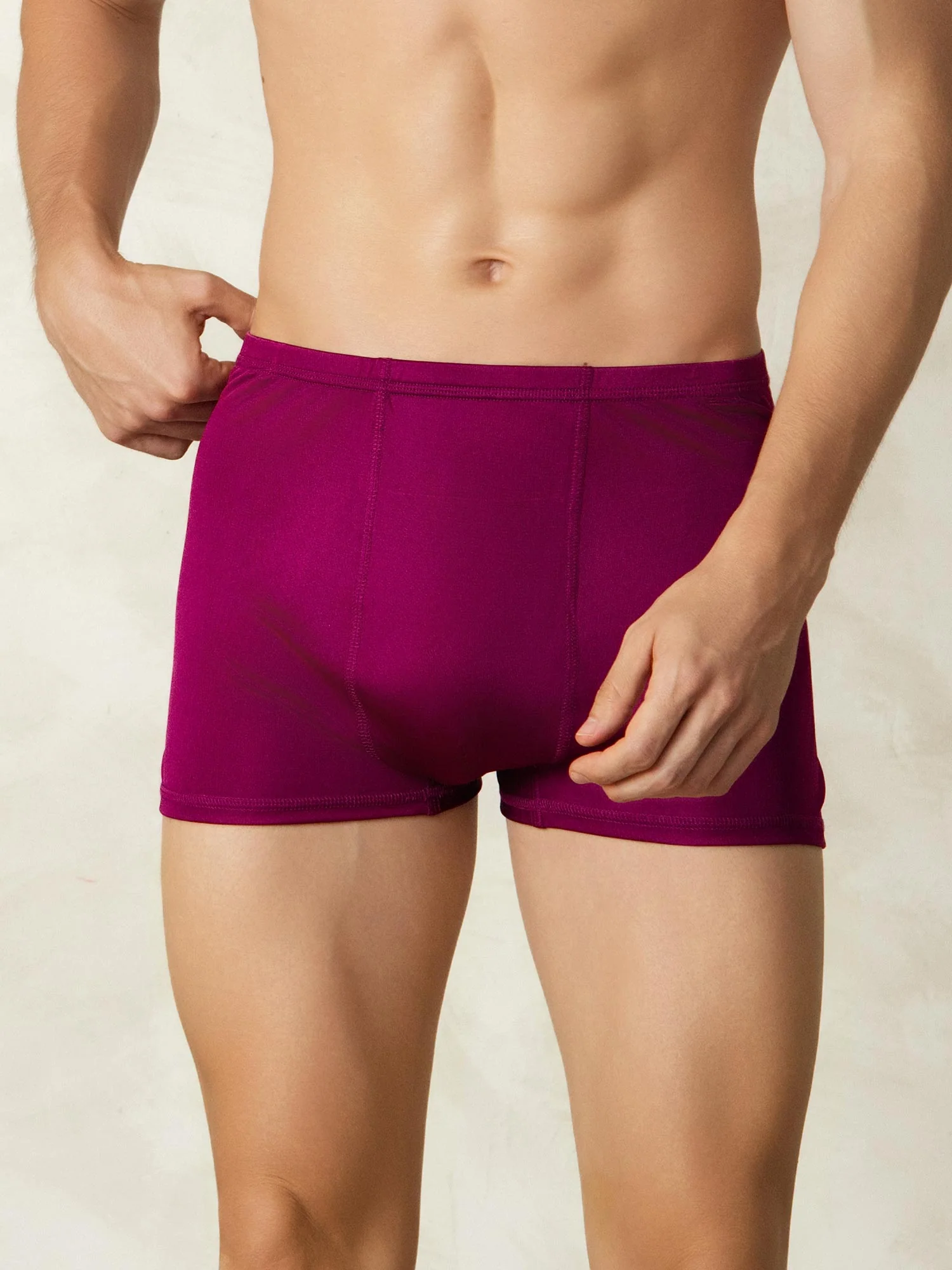 Pure Silk Herr Boxers Underwear - Image 22